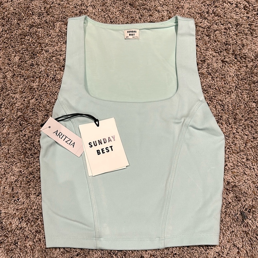 Aritzia x Sunday Best Jagger Cropped Corset Tank
